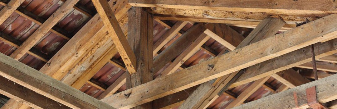 Charpente en bois traitée et entretenue